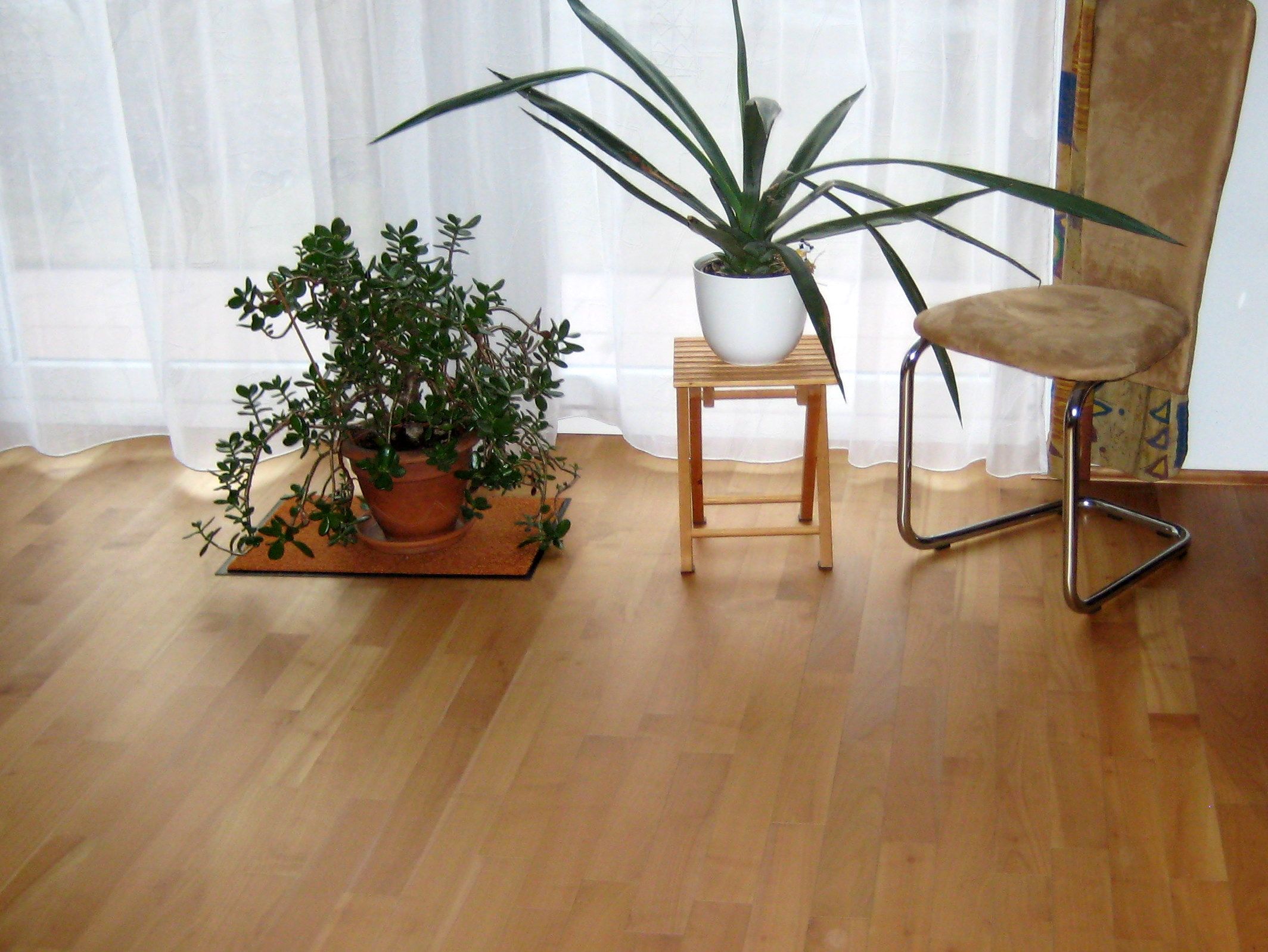 Innenraum mit modern verlegtem Parkettboden