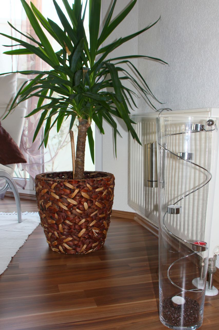 Bodenflaeche mit warmem Nussbaum-Laminat
