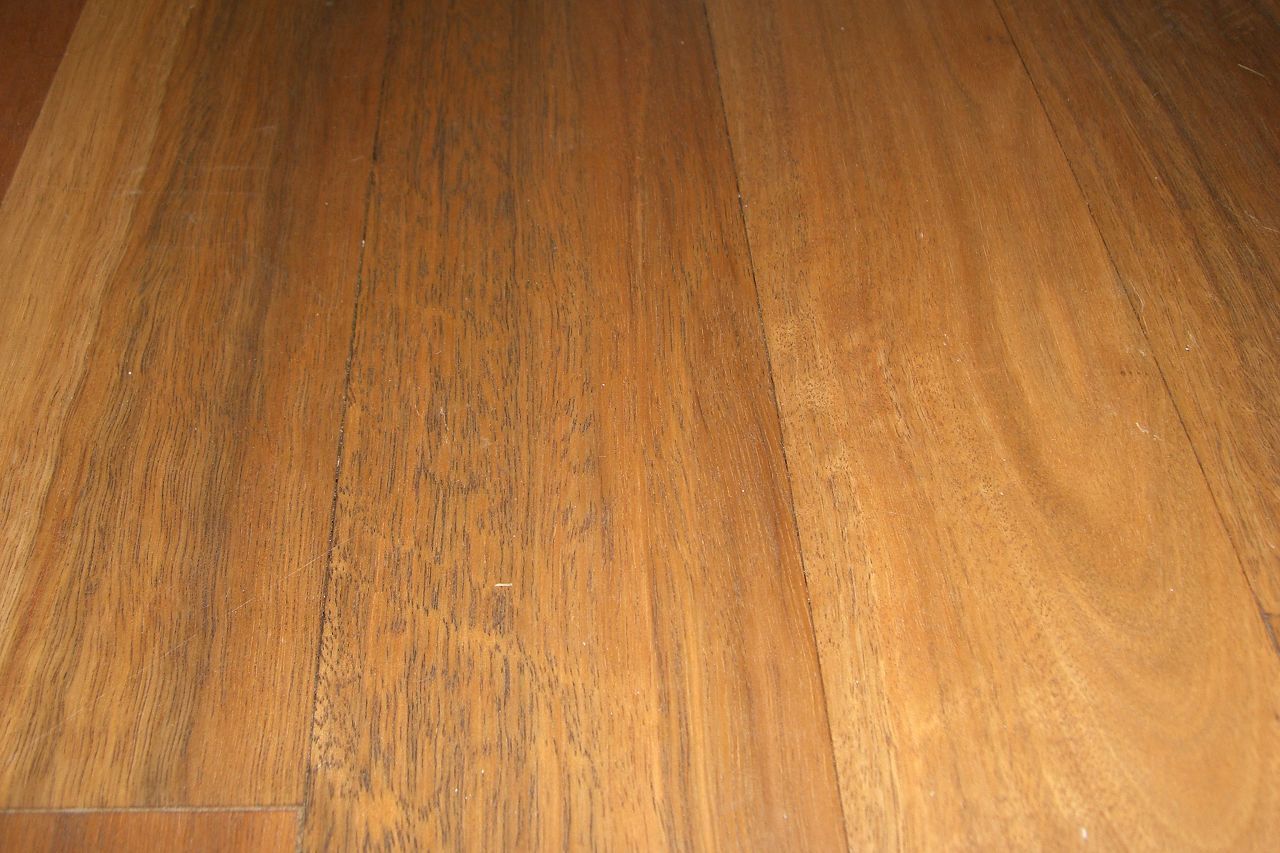 Detailaufnahme von Spotted-Gum-Holz mit warmem, rotbraunem Ton