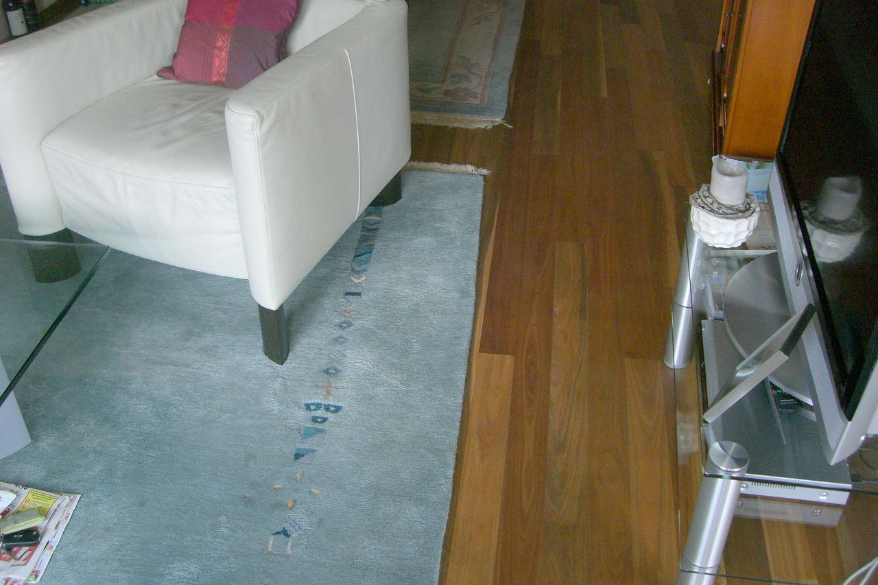 Parkettflaeche aus Spotted Gum im Innenraum